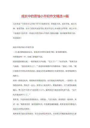 成长中的烦恼小升初作文精选10篇.docx