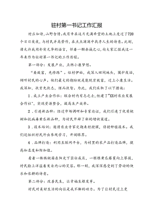 驻村第一书记工作汇报.docx