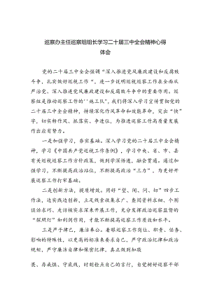 （9篇）巡察办主任巡察组组长学习二十届三中全会精神心得体会通用范文.docx