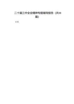 （11篇）二十届三中全会精神专题辅导报告集合.docx
