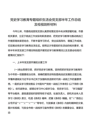 【支部半年总结.组织生活会】党史学习教育专题组织生活会党支部半年工作总结及检视剖析材料.docx