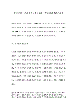 某县实验中学委员会关于巡察集中整改进展情况的报告.docx