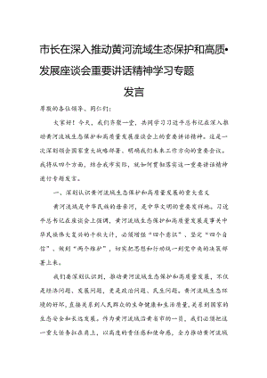 市长在深入推动黄河流域生态保护和高质量发展座谈会重要讲话精神学习专题发言.docx