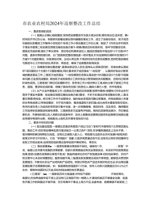 市农业农村局2024年巡察整改工作总结.docx