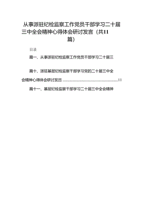 （11篇）从事派驻纪检监察工作党员干部学习二十届三中全会精神心得体会研讨发言（精选）.docx