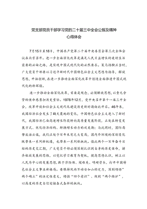 （9篇）党支部党员干部学习党的二十届三中全会公报及精神心得体会优选.docx