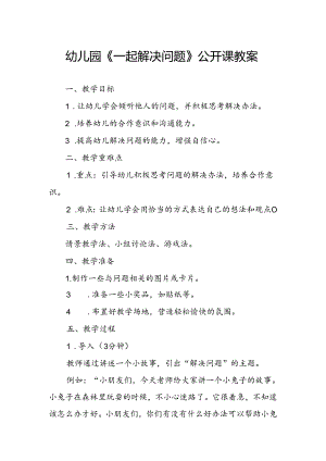 幼儿园《一起解决问题》公开课教案.docx
