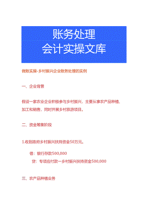 做账实操-乡村振兴企业账务处理的实例.docx