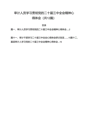 审计人员学习贯彻党的二十届三中全会精神心得体会12篇（精选）.docx