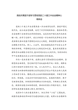 (七篇)高校共青团干部学习贯彻党的二十届三中全会精神心得体会（详细版）.docx