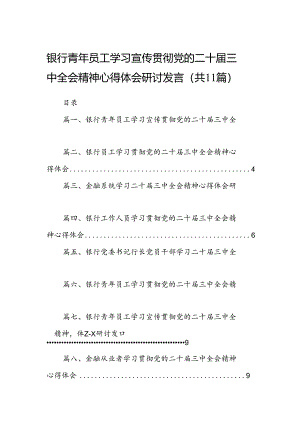 （11篇）银行青年员工学习宣传贯彻党的二十届三中全会精神心得体会研讨发言集合.docx