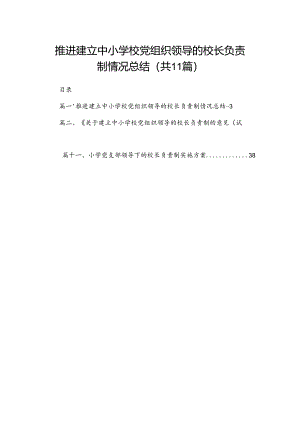 （11篇）推进建立中小学校党组织领导的校长负责制情况总结供参考.docx