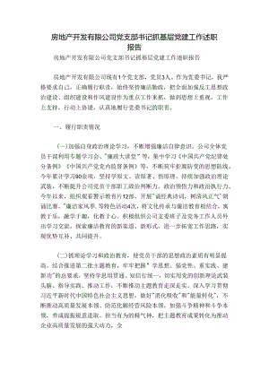 房地产开发有限公司党支部书记抓基层党建工作述职报告.docx