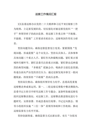 巡察工作情况汇报.docx