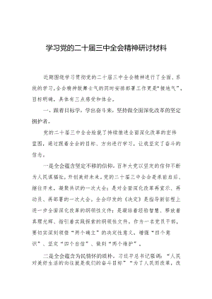 学习党的二十届三中全会精神研讨材料.docx