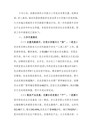 乡镇开展乡村振兴工作总结.docx