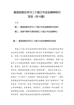（10篇）基层检察长学习二十届三中全会精神研讨发言（详细版）.docx