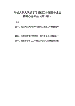 （15篇）刑侦大队大队长学习贯彻二十届三中全会精神心得体会（详细版）.docx
