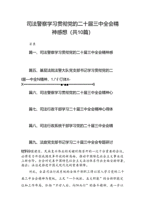 （10篇）司法警察学习贯彻党的二十届三中全会精神感想范文.docx