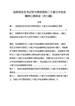 （13篇）法院党总支书记学习贯彻党的二十届三中全会精神心得体会（精选）.docx