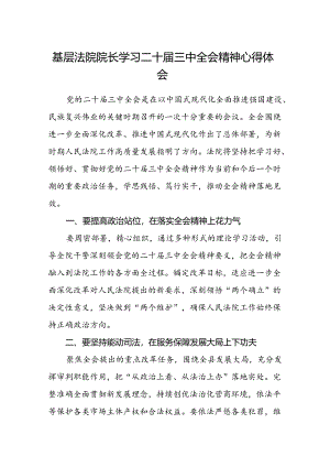 基层法院院长学习二十届三中全会精神心得体会.docx