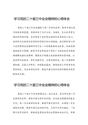 学习二十届三中全会精神的心得体会最新交流发言稿四十篇.docx
