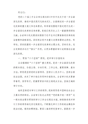 审计系统学习贯彻党的二十届三中全会精神宣讲会上的讲稿.docx