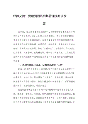 经验交流：党建引领筑根基+管理提升促发展.docx