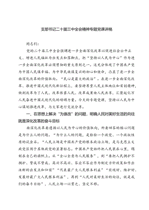 (四篇)支部书记二十届三中全会精神专题党课讲稿（详细版）.docx
