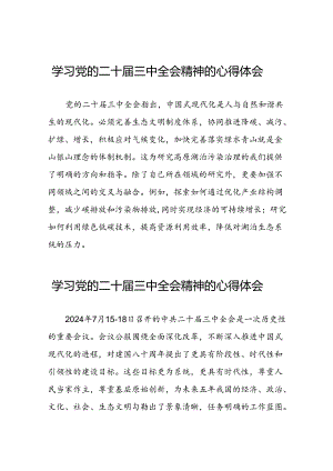 2024年党的二十届三中全会精神学习体会精选合集四十篇.docx