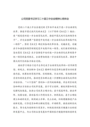 公司党委书记学习二十届三中全会精神心得体会5篇（详细版）.docx