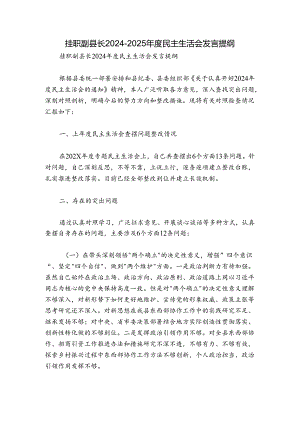 挂职副县长2024-2025年度民主生活会发言提纲.docx