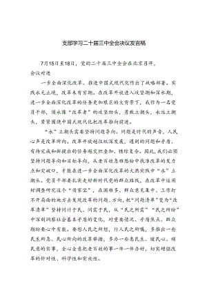 （12篇）支部学习二十届三中全会决议发言稿（最新版）.docx