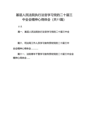 （11篇）基层人民法院执行法官学习党的二十届三中全会精神心得体会（详细版）.docx