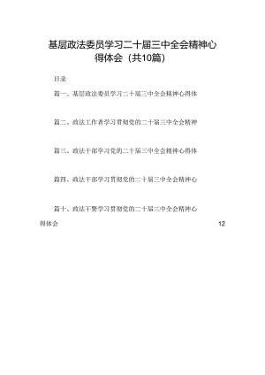 （10篇）基层政法委员学习二十届三中全会精神心得体会（详细版）.docx