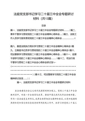 （13篇）法庭党支部书记学习二十届三中全会专题研讨材料（精选）.docx