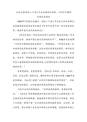 全会宣讲丨党的二十届三中全会精神宣讲稿以钉钉子精神抓好改革落实.docx