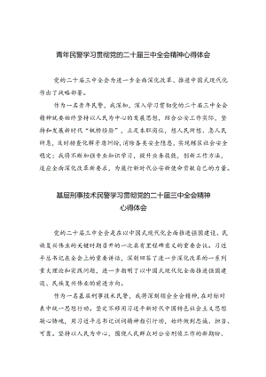 （9篇）青年民警学习贯彻党的二十届三中全会精神心得体会（最新版）.docx