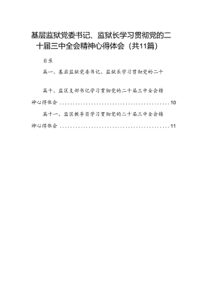 （11篇）基层监狱党委书记、监狱长学习贯彻党的二十届三中全会精神心得体会范文.docx
