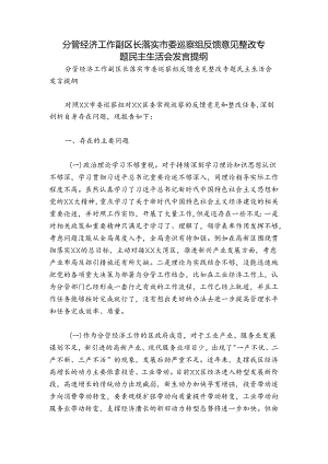 分管经济工作副区长落实市委巡察组反馈意见整改专题民主生活会发言提纲.docx
