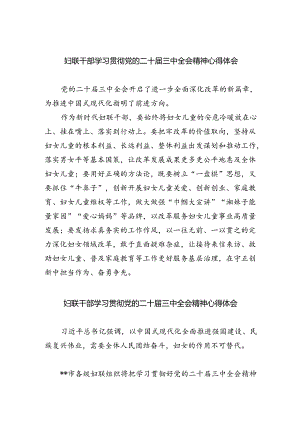 妇联干部学习贯彻党的二十届三中全会精神心得体会5篇（精选版）.docx