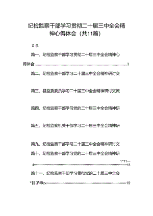 （11篇）纪检监察干部学习贯彻二十届三中全会精神心得体会（精编版）.docx