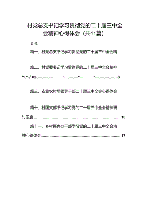 （11篇）村党总支书记学习贯彻党的二十届三中全会精神心得体会范文.docx