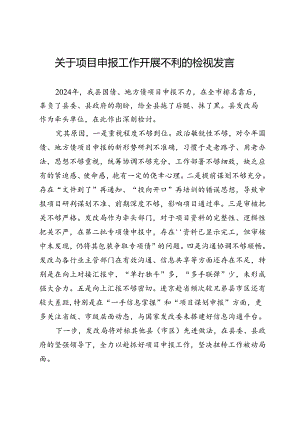 关于项目申报工作开展不利的检视发言.docx