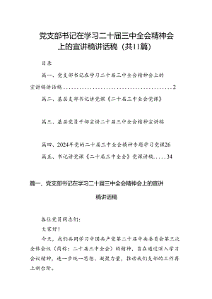 （11篇）党支部书记在学习二十届三中全会精神会上的宣讲稿讲话稿（精选）.docx