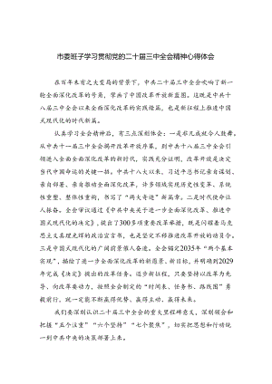 市委班子学习贯彻党的二十届三中全会精神心得体会四篇（最新版）.docx