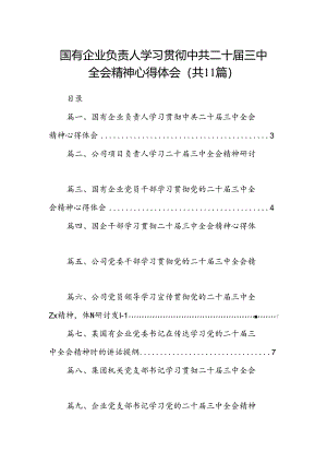 （11篇）国有企业负责人学习贯彻中共二十届三中全会精神心得体会范文.docx