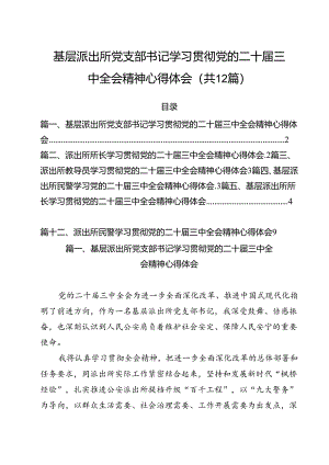 基层派出所党支部书记学习贯彻党的二十届三中全会精神心得体会12篇（最新版）.docx