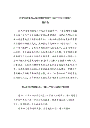 （9篇）治安大队负责人学习贯彻党的二十届三中全会精神心得体会（详细版）.docx