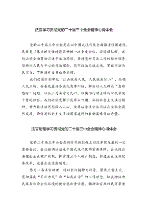 法官学习贯彻党的二十届三中全会精神心得体会（共八篇选择）.docx